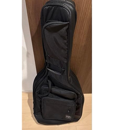 ギター 2本収納用 RBX セミハードケース ギグバッグ ギター 2本収納用 RBX セミハードケース ギグバッグ Reunion