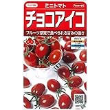 【種子】 ミニトマト チョコアイコ サカタのタネ