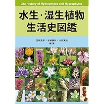 樹木生活史図鑑 = Observational illustrated boo… 樹木生活史図鑑 | 八田 洋章 |本 | 通販 | Amazon