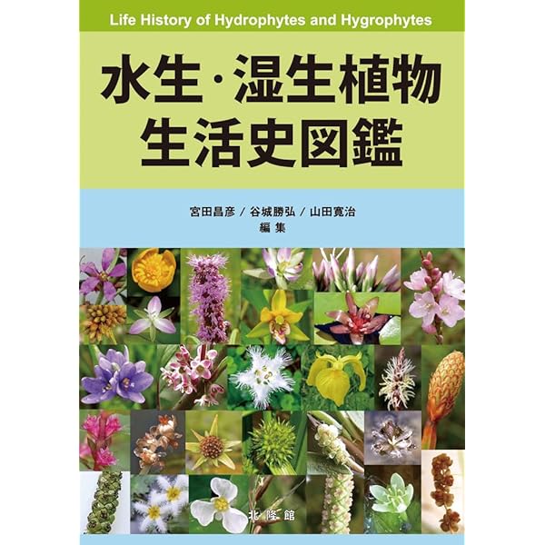 樹木生活史図鑑 | 八田 洋章 |本 | 通販 | Amazon