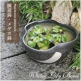 信楽焼 12号ハケメ三方曲げすいれん鉢 睡蓮鉢 スイレン鉢 金魚鉢 水鉢 陶器 su-0175
