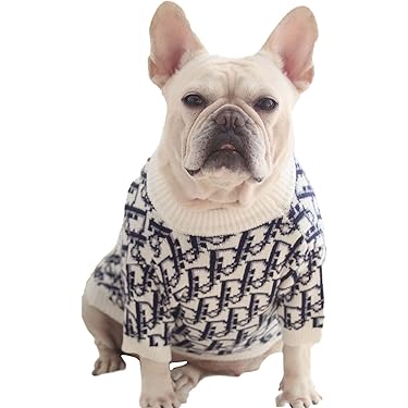 英字柄裏毛ニットの犬の服 【公式通販】