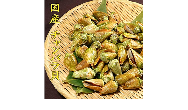 Amazon 国産 ちゃんばら貝 １kg 冷凍便 チャンバラ貝 マガキ貝 酒の肴 ニッポンストア高知 興洋フリーズ 貝類 通販