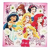 ディズニー ハンカチ コットンハンカチーフ ミッキー ミニー カーズ トイストーリー プリンセス fpo-dsnh プリンセス