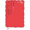 イスラームからヨーロッパをみる――社会の深層で何が起きているのか (岩波新書 (新赤版 1839))