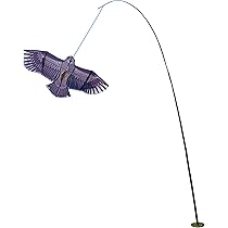 Amazon.co.jp: 鳥追いカイト鷹（ポール竿付） (防獣・鳥・虫用品