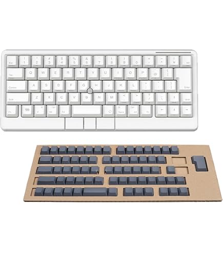Amazon | HHKB Studio 日本語配列 「雪」×「灰」特別セット PD-ID120Y