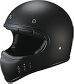 Amazon | ダムトラックス(DAMMTRAX) バイクヘルメット フルフェイス