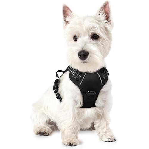 rabbitgoo Dog Harness, No-Pull Pet Harness with 2 Leash Clips, Adjustable Soft Padded Dog Vest, Reflective No-Choke Pet Oxfor