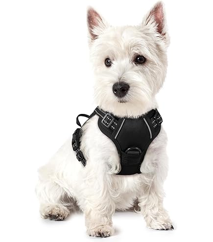 No-Pull Dog Harness - Saddle Style, Reflective Mesh, Adjustable For Small/Medium Dogs & Cats
