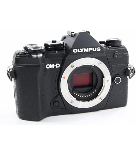 Amazon | OM SYSTEM/オリンパス OM-1 12-100mm F4.0 PROキット 