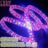 つの4つの線の明かりは、七色の変色して、光の虹チューブ、LED防水ライトベルト,赤靑72ランプ