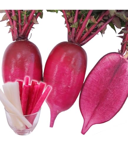 Amazon.co.jp: Seeds Vegetable Seeds, Daikon F1 Aji Bijin, 1