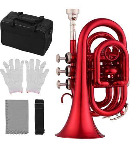 PLAYTECH PTST-200 スライドトランペット mqdefault.jpg