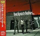 �X�g�b�N�z�����E�V���h���[��