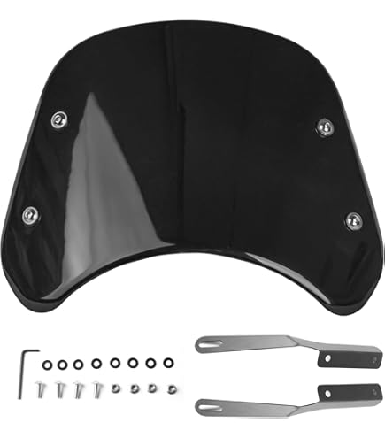 Amazon | 【S-SHOWTIME】Laminar Lip クォーター フェアリング リップ