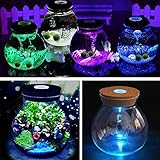 DIY のコケマイクロ横長のガラスと LED ライト多肉植物花瓶ホームデコレーションボトル