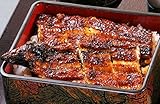鰻の蒲焼き たれ付き 2尾セット うなぎ料理専門店の本格かば焼き 国産 うなぎ 冷凍