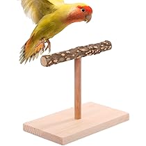 61Fst9mAVcL._AC_UL210_SR210,