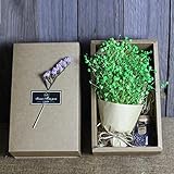 BeSde自然Dried Flower Baby 's BreathホームDecor Dried Flower Sky Star Gypsophila A グリーン