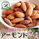 アーモンド 苗 【アーモンド】 1年生 接ぎ木 ポット苗