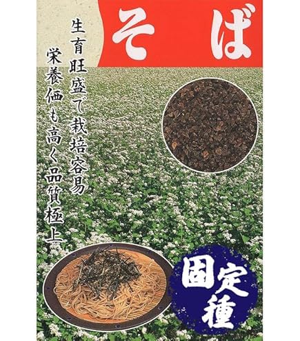 Amazon.co.jp: ソバ（蕎麦）：春のいぶき1kg袋詰め[タネ][春そば・秋 