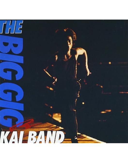Amazon.co.jp: THE BIG GIG [DVD] : 甲斐バンド, 甲斐バンド: DVD