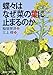 蝶々はなぜ菜の葉に止まるのか 蝶々はなぜ菜の葉に止まるのか