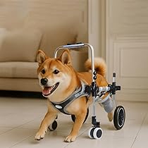 61FzDBPuD9L._AC_UL210_SR210,