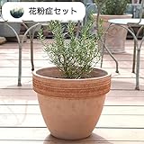 ハーブ栽培セット（ カモミール ＆ スペアミント ）【 花粉症 対策 】