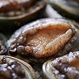 【活きたまま】 活アワビ 新鮮 贈り物 高級 5～6枚 (L/500g) あわび アワビ 活き 生きたまま 蝦夷 鮑 殻付き