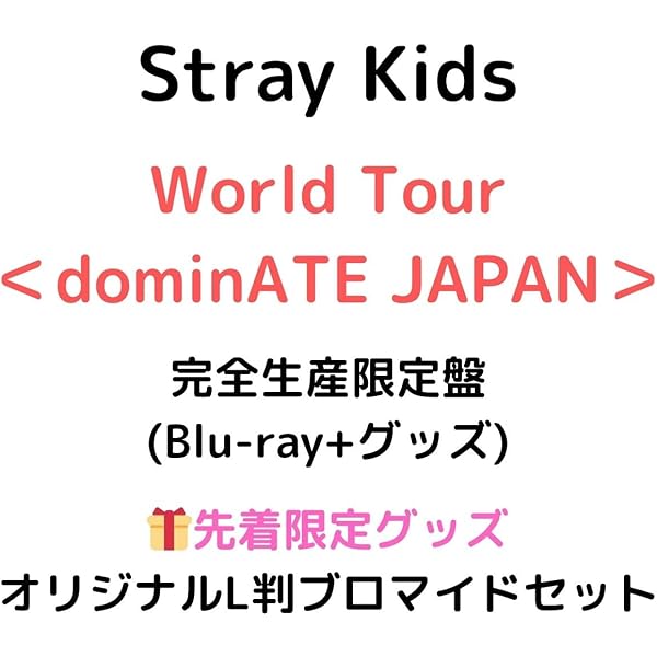 Amazon.co.jp: Stray Kids Fan Connecting 2024 “SKZ TOY WORLD” (完全