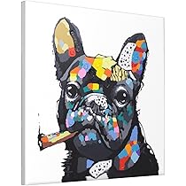 61G1dcEDNkL._AC_UL210_SR210,