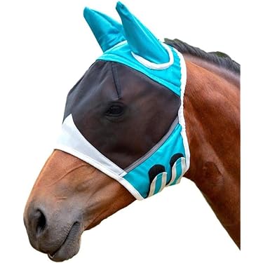 乗馬用品 アルマ カーボン 前肢用 プロテクター (左右1セット 
