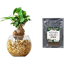 61G3pjtkcLL._AC_UL210_SR210,