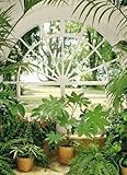 植物ポスター写真壁紙 – Winter Garden 4-parts ( 100 x 72インチ）
