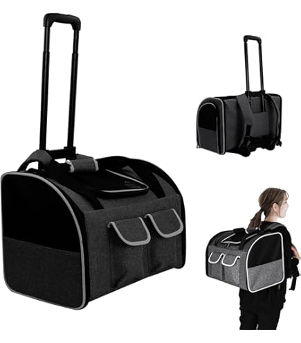 Amazon.co.jp: 【LIFELIKE公式】2WAYボックスキャリー 犬 バックパック