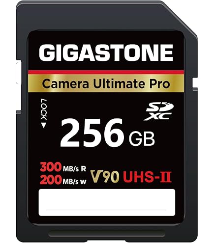 KIOXIA EXCERIA PRO 256GB V90 UHS-II