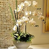 WENZHE 人造花シミュレーションの花の手配偽の花假花シミュレーション ファレノプシス セラミック 花瓶で ホームアクセサリー、 6のスタイル ( 色 : F f )