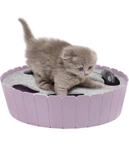 猫のおもちゃ INKZOO 猫のおもちゃ、屋内猫用インタラクティブ猫おもちゃ