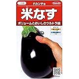 サカタのタネ 実咲野菜0232 米なす ドカンチョ 00920232