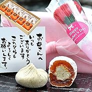 岐阜中津川 栗きんとん5個 栗柿5個入り