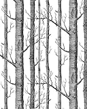 7Buy Modern Birch Tree Pattern Waterproof Wallpaper Wall Paper Wallcoverings for Wall Treatment Bedr
