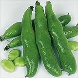 国華園　野菜たね　マメ　早生そら豆　1袋(25ml入)【※発送が国華園からの場合のみ正規品です】