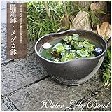 信楽焼 14号ハケ目二方曲げすいれん鉢 睡蓮鉢 スイレン鉢 金魚鉢 水鉢 陶器 su-0148