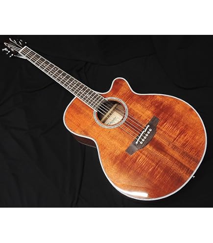 Amazon | Takamine PTU121C GBB エレアコギター 100シリーズ (タカミネ