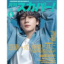 日本統一　21巻〜41巻　20巻コンプリート（40巻は欠品） 日本統一 21巻〜41巻 20巻コンプリート（40巻は欠品） 内本順一