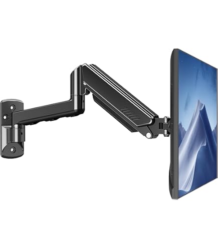 【訳アリ　美品】Ergounion PCモニターアーム E66　ブラック　2画面 楽天市場】Ergounion PCモニターアーム 2画面 13-40インチ対応