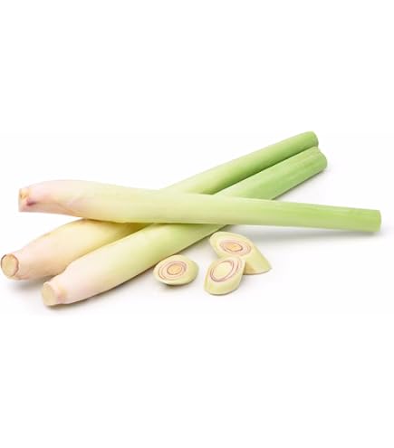 Amazon.co.jp: 生野菜 バイマックル こぶみかんの葉 1パック(約5g 10