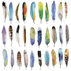 Amazon Moin Moin しおり ブックマーク ブックマーカー 鳥の羽 鳥 羽 羽根 バード 30枚セット しおり 文房具 オフィス用品